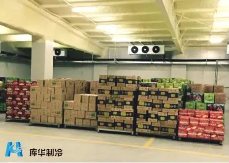 冷庫(kù)建造:50平方水果蔬菜冷庫(kù)可以放多少噸貨