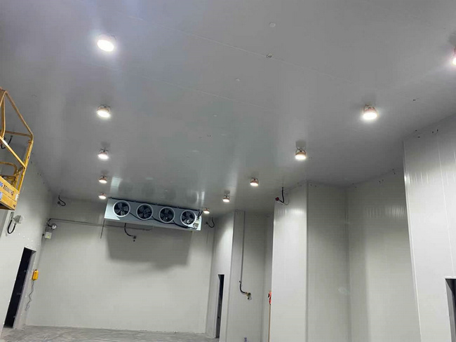 建個(gè)存放10噸貨物的冷庫大概需要多少錢?