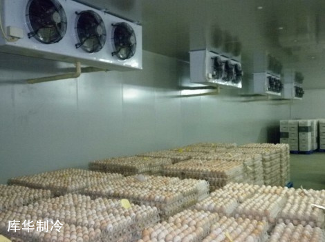 雞蛋冷庫(kù) 雞蛋冷庫(kù)